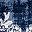 Ivory Navy