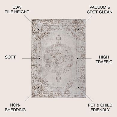Perfect Rosalia Cottage Medallion Area Rug