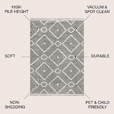 Mercer Shag Plush Tassel Moroccan Diamond Area Rug