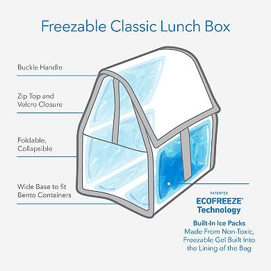 Packit Freezable Classic Lunch Box