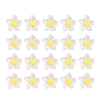 20 pc Small Flower Hair Clips Mini Flower Clips Cute Hairpin For Girls