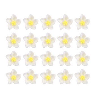 20 pc Small Flower Hair Clips Mini Flower Clips Cute Hairpin For Girls