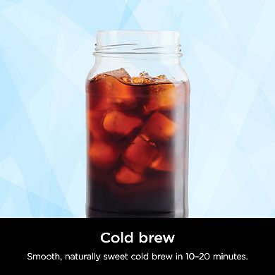 Ninja Hot & Iced XL Coffee Maker with Rapid Cold Brew CM371