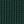 Pacific Pine