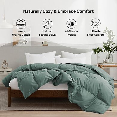 Unikome Ultra Soft 100% Organic Cotton Feather Down Duvet Insert-Medium Warm Quilted Bed Comforter