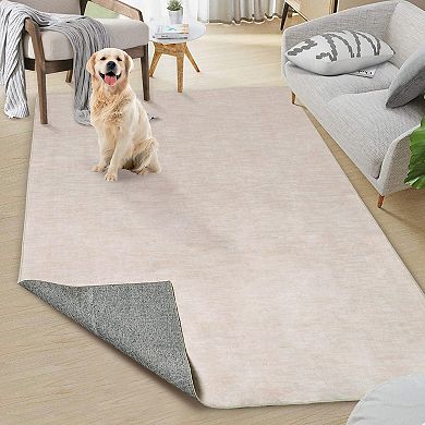 Garvee Indoor Modern Solid Area Rug Soft Washable Floor Carpet for Bedroom Living Room