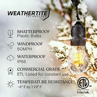 Brightech Ambience Pro 48ft Indoor/outdoor Led String Lights With Spiral Buls