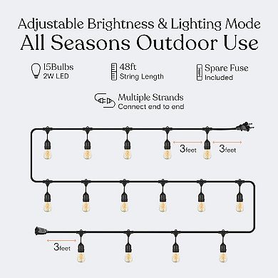 Brightech Ambience Pro 48ft Indoor/outdoor Led String Lights With Spiral Buls