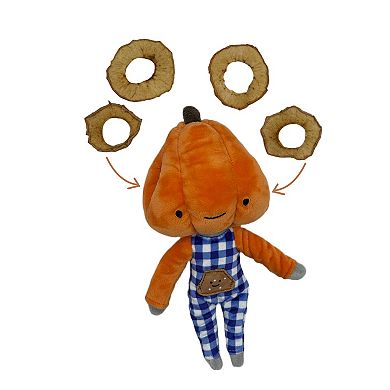 Pumpkin Nose Work Dog Toy