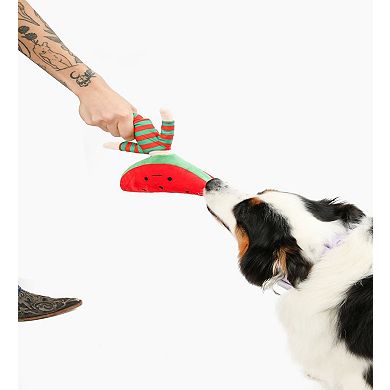 Watermelon Nosework Dog Toy