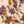 Beige Floral