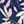 Navy Pink
