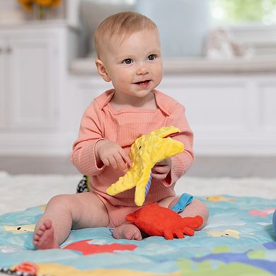 Melissa & Doug Ocean Easy-Fold Play Gym