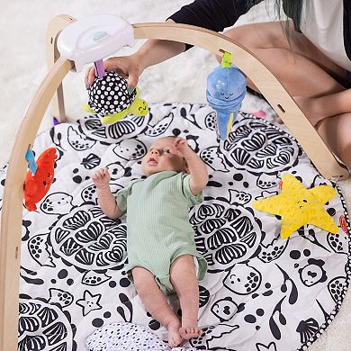 Melissa & Doug Ocean Easy-Fold Play Gym