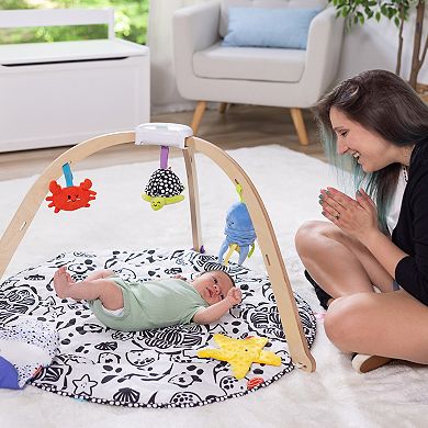Melissa & Doug Ocean Easy-Fold Play Gym