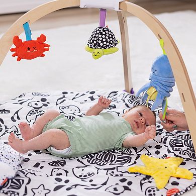 Melissa & Doug Ocean Easy-Fold Play Gym