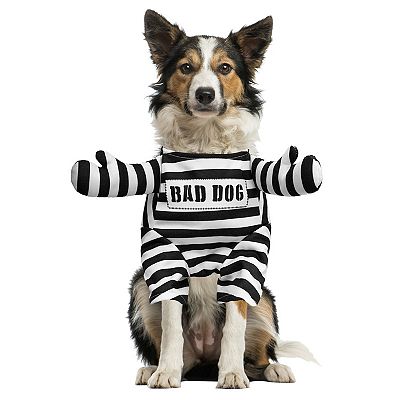 Jail dog costume best sale