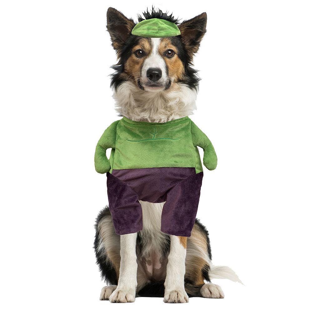 Woof Hulk Pet Costume