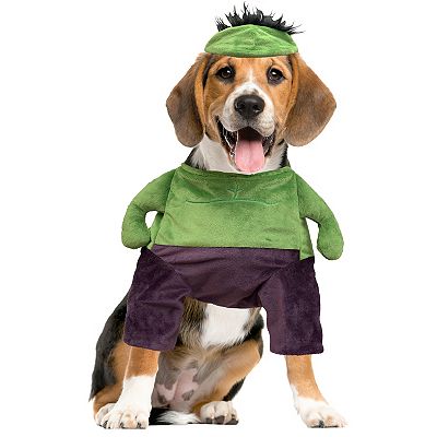 Incredible Hulk Pet Costume Incredible Hulk Pet Costume
