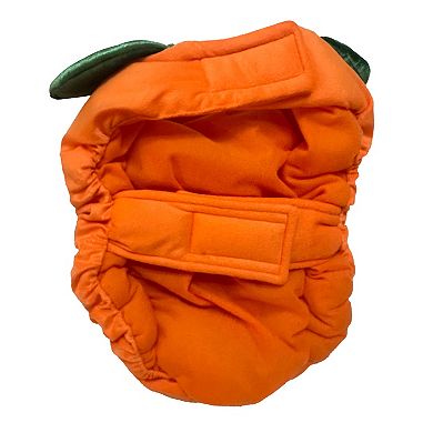 Woof Pumpkin Dog Costume