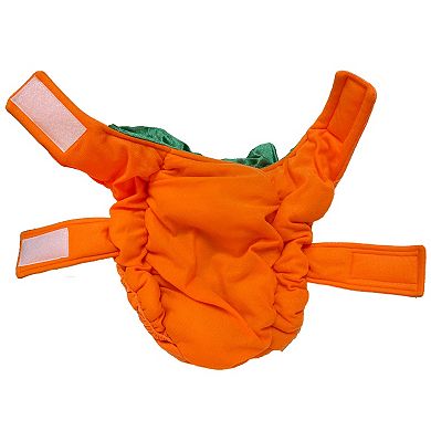 Woof Pumpkin Dog Costume