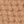 Buckskin