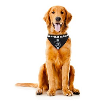 NFL Las Vegas Raiders Pet Bandana