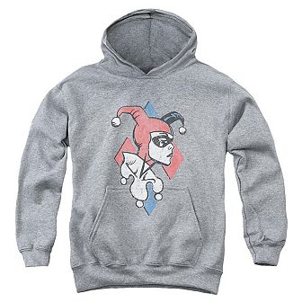 Batman Profiling Youth Pull Over Hoodie