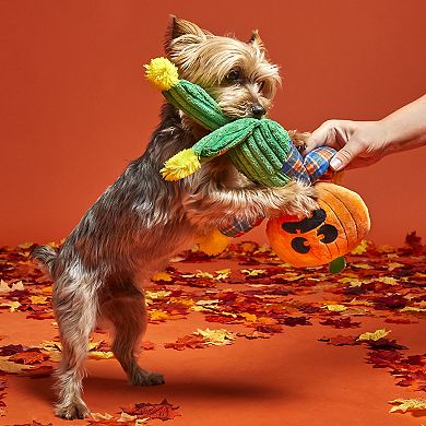 BARK Ol' Pumpkin Patches Dog Toy