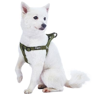 Blueberry Pet Classic Dog Harness