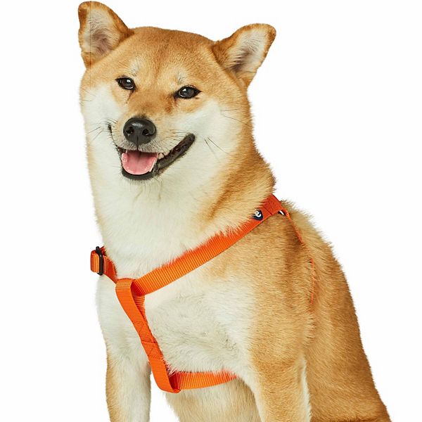 Blueberry Pet Classic Dog Harness - Orange (MEDIUM)