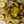 Gold Tone Aug
