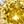 Gold Tone Nov