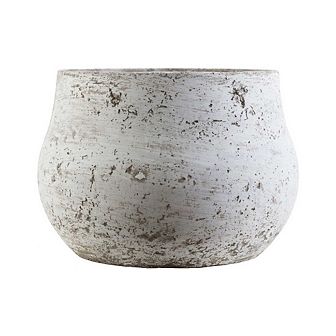 Zlataritsa Decorative Accent Planter