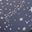 Blue Stars