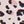 Leopard Floral