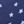Oceana Stars