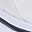 White Navy