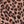 Taupe Leopard