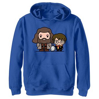 Boys Harry Potter Besties Graphic Hoodie