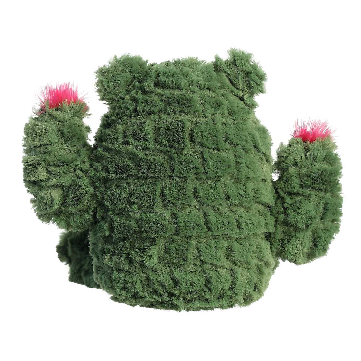 Cactus Kingdom™ – Aurora