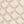 Light Stone Lizard