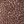 Taupe Leopard