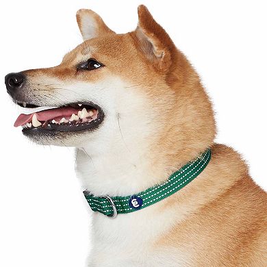 Better Basics Reflective Dog Collar