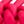 Virtual Pink Pu