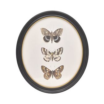 Belle Maison Oval Resin Butterfly Framed Wall Art