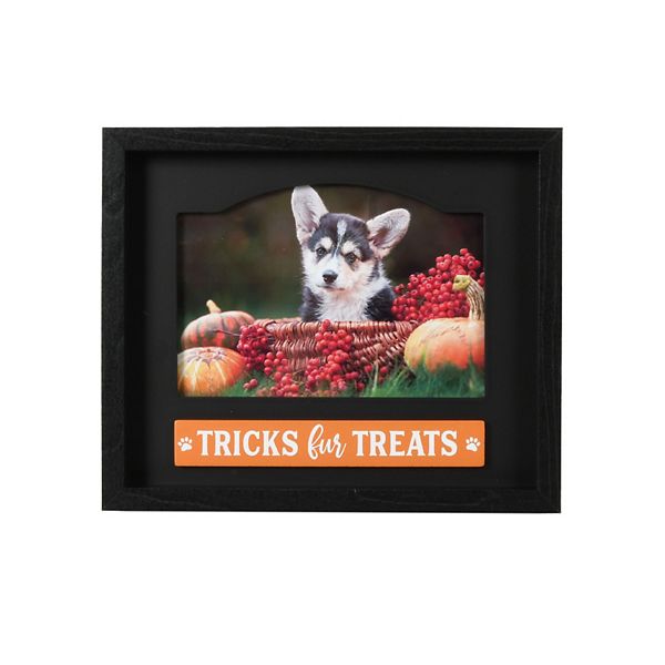 Pet Halloween Picture Frame - None