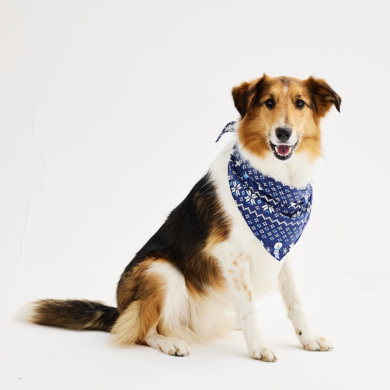 Pet Jammies For Your Families® Winter Fairisle Pet Bandana, Size: Small-Medium