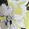 Chartreuse Gray Blck