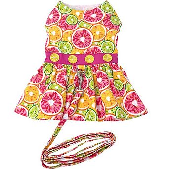 Doggie Design Citrus Slice Dog Dress With Matching Leash